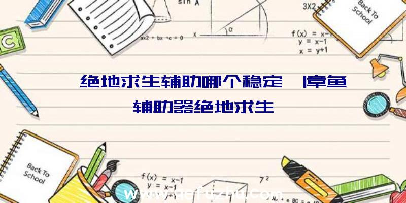 「绝地求生辅助哪个稳定」|章鱼辅助器绝地求生